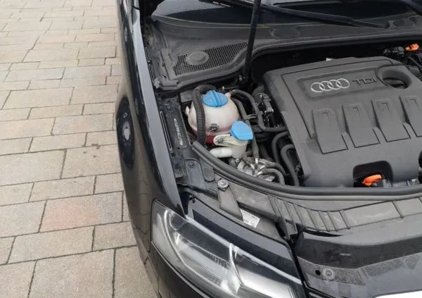 Audi A3 cena 10500 przebieg: 195237, rok produkcji 2010 z Byczyna małe 137